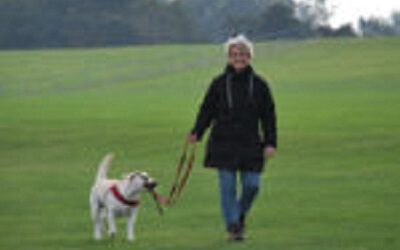 Dog Training Tip Series- Tip #6 – How To Use A Dog Leash