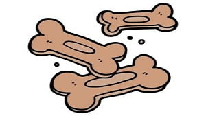 Dog Training Tip Series- Tip #4: What Types Of Dog Treats