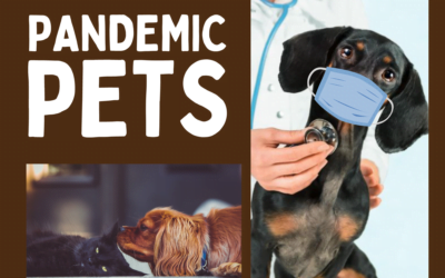 Pandemic Pets