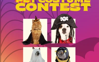 MYD Halloween Pet Costume Contest